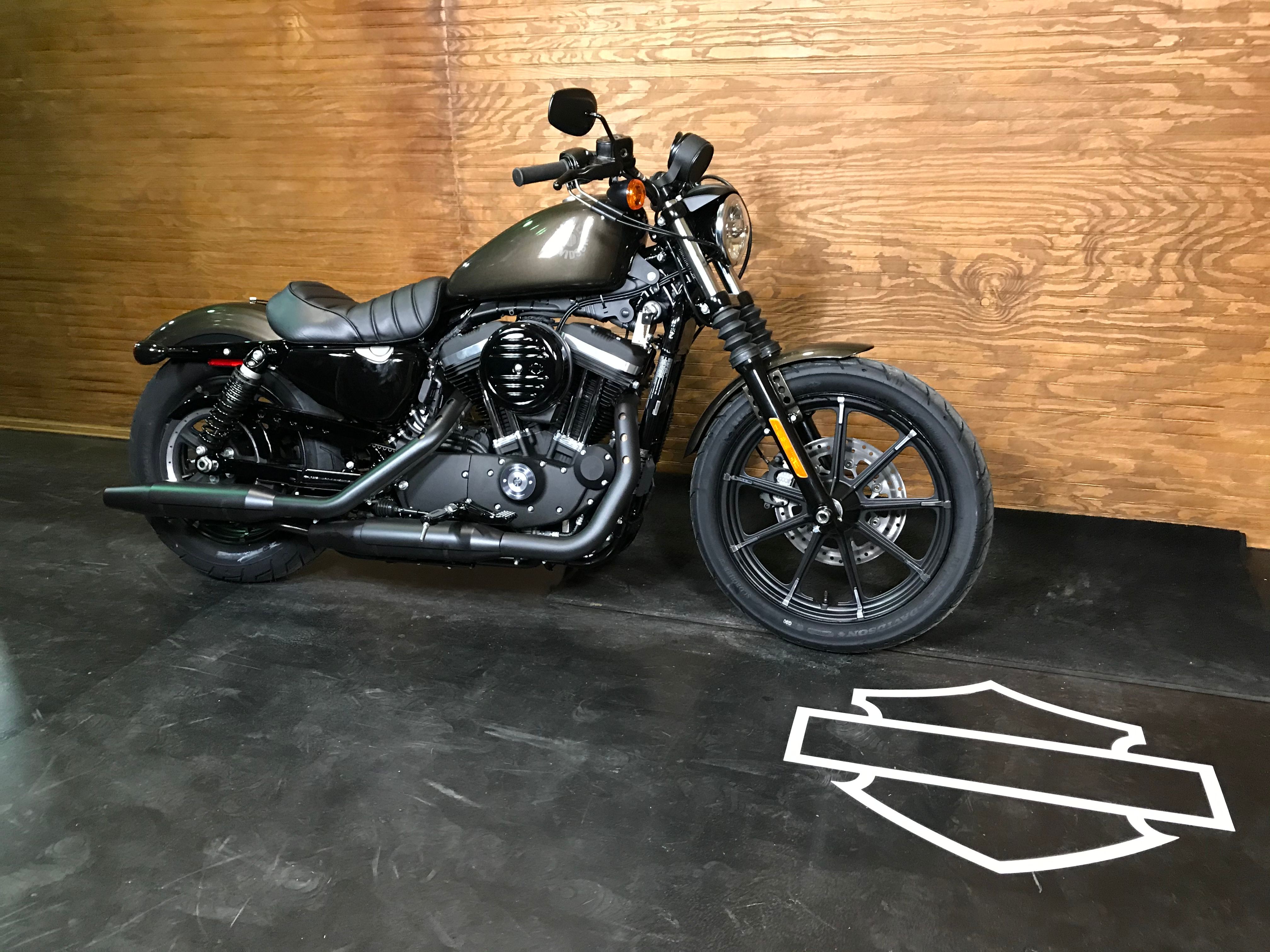 New 2020 Harley-Davidson Iron 883 in Bowling Green #428981 | Harley ...